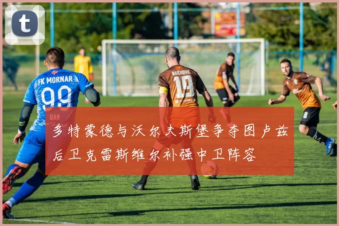 多特蒙德与沃尔夫斯堡争夺图卢兹后卫克雷斯维尔补强中卫阵容