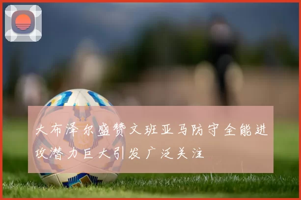 大布泽尔盛赞文班亚马防守全能进攻潜力巨大引发广泛关注