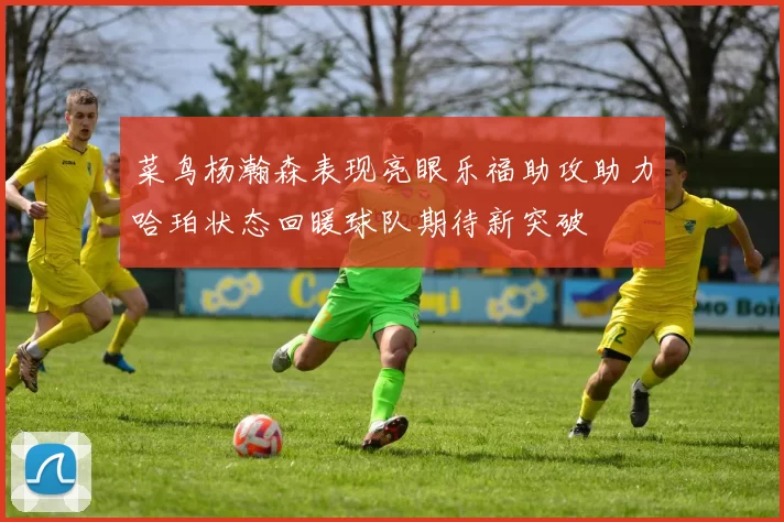 菜鸟杨瀚森表现亮眼乐福助攻助力哈珀状态回暖球队期待新突破